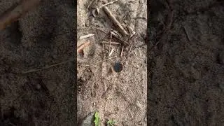 Мелочь но приятно