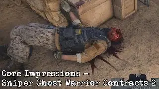 Gore Impressions - Sniper Ghost Warrior Contracts 2