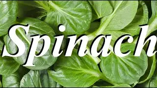 Top 10  Health Benefits of Spinach