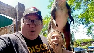 Jurassic Gardens