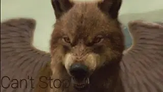 Twilight wolf // Can't stop