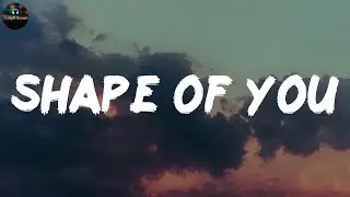 Shape of You - Ed Sheeran (Lyrics)