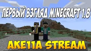Первый взгляд Minecraft 1.8 с AKe11A