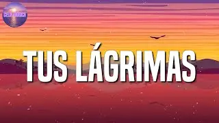 🎵  Mora, Sech  - TUS LÁGRIMAS || Rauw Alejandro ✽ KAROL G ✽ Nicki Minaj ✽ Anuel AA (Mix)