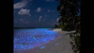 Maldives - Sea of Stars.