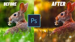 Golden Hour  photo editing | Wildlife Photography | Photoshop Color Grading Tutorial