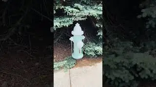 Random Russian Vocabulary: 🛑🛑🛑 