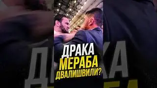 МЕРАБ УДАРИЛ ИЗ-ЗА УМАРА НУРМАГОМЕДОВА ❓️ #мерабдвалишвили #merabdvalishvili