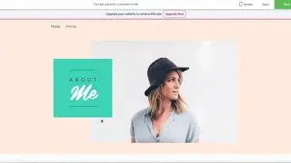 Wix Additional Features