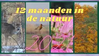 12 MAANDEN IN DE NATUUR - natuur jaaroverzicht 2021