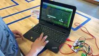 IMG 0417