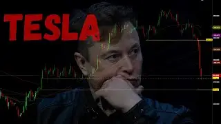 Tesla Crashes 15%! Elon vs Trump Fight Shocks Wall Street!