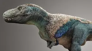 Did Dinosaurs Have Feathers?