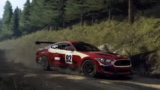 Dirt Rally 2.0 (PC) - Glencastle Farm (Scotland) in the Ford Mustang GT4 (R-GT)