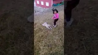damla deniz aslan hayvan sevgisi bu