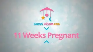 11 Weeks Pregnant | pregnancy signs and symptoms