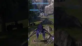 Banshee of doom with Walmart connection #halo #halo3 #343 #bungie #destiny2 #xbox #xboxone #shorts