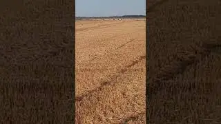 красота 😎