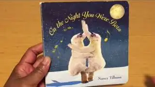 Quick Summary of On the Night You Were Born by Nancy Tillman