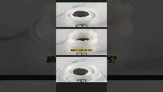 OREO fps drop test 60fps vs 480fps vs 1000fps