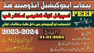 PEEF Scholarship 2024 | How To Apply PEEF Scholarships 2023-2024 for Intermediate & Graduation