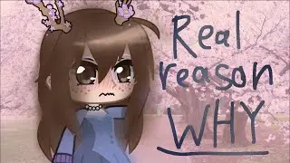 The reason why I haven’t been posting...