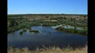 Hiking without words Birdwatching Наблюдение за птицами