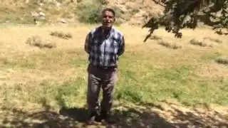 Bitlis hizan kalkanlı köyö dengbej H.tahsin