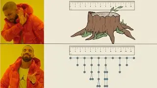 How to Use Beads and Strings to Find the Diameter of a Tree