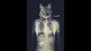 Xray chat Photoshop Manipulation SPEED ART