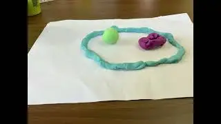 Clay cells for curious kids