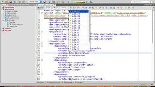 Screencast of NetBeans Issue 1803
