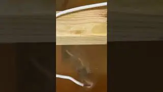 Electrolysis on an old action & nickel plating a hammer 