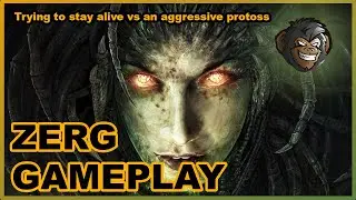 Fighting back against a very aggressive top 100gm protoss