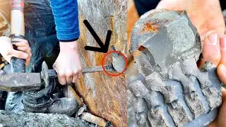 What We Found From Digging Shale?! | Fossil Hunter