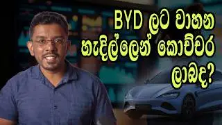 Toyota vs BYD vs Honda මේ අයගෙන් වැඩිම ලාභ හොයන්නෙ කවුද