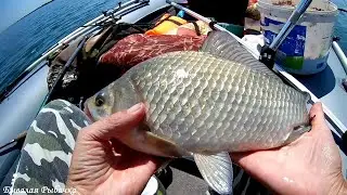 Overnight fishing. Cooking over a campfire. Full version