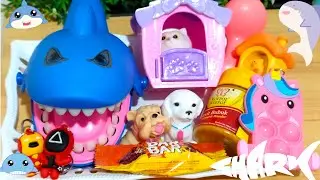 Shark Bites Unicorn Popit, Squid Game Toys, Superhero, Dog,Snack,Duck, Pet Shop, Cat Cage,Brush|Asmr