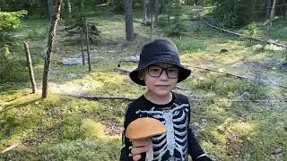 За 🍄🍄🍄грибами.