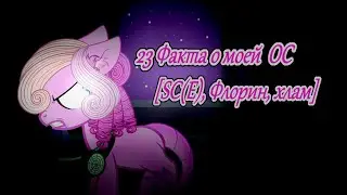 [Пони креатор] 23 факта о моей ОС (SC(E)-120, Флорин, хлам)