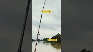 strike lg bossQ..||short video