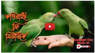Islamic Music | Free copyright music video | no copyright | 
