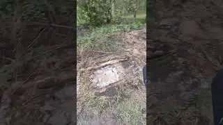 СКРАДОК В ЛЕСУ
