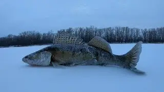 Рыбалка-разведка. Середина марта. Остров Спорный.