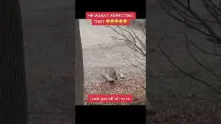He wasn't expecting that 🤣#shorts #funny