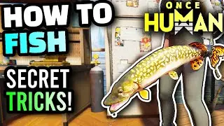 Once Human - Fishing Guide, How To Fish, Best Way To Catch Fish, Fishing Mechanics Explained