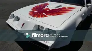 1979 PONTIAC FIREBIRD - WWW.KARSWITHAKNIC.WIXSITE.COM/WEBSITE - 805-350-1688