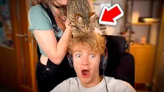 TommyInnit Reveals his New Cat!