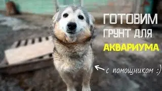 Грунт для аквариума / Как подготовить аквариумный грунт