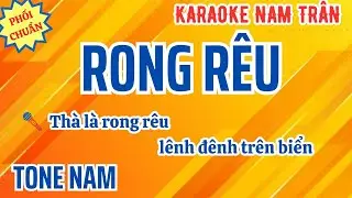 Karaoke Rong Rêu (Phối Mới 2024) Tone Nam | Nam Trân
